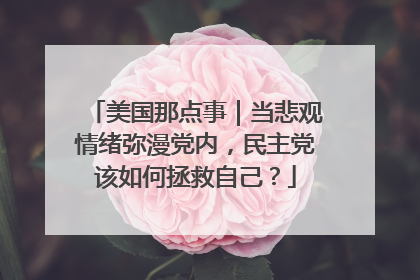 美国那点事｜当悲观情绪弥漫党内，民主党该如何拯救自己？