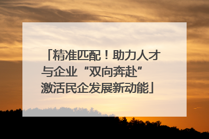 精准匹配！助力人才与企业“双向奔赴” 激活民企发展新动能
