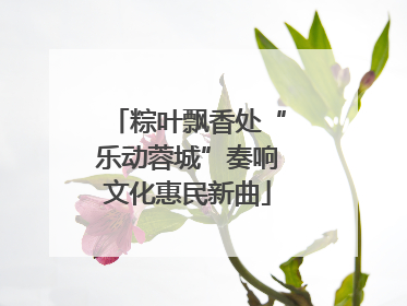 粽叶飘香处“乐动蓉城”奏响文化惠民新曲