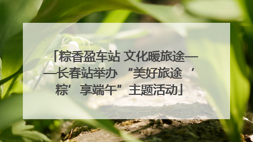 粽香盈车站 文化暖旅途——长春站举办 “美好旅途‘粽’享端午”主题活动