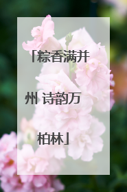 粽香满并州 诗韵万柏林