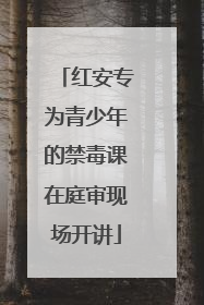 红安专为青少年的禁毒课在庭审现场开讲