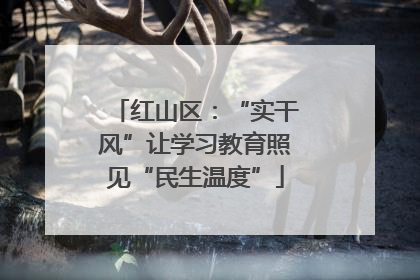 红山区：“实干风”让学习教育照见“民生温度”