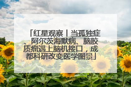 红星观察丨当孤独症、阿尔茨海默病、脑胶质瘤遇上脑机接口，成都科研改变医学图景