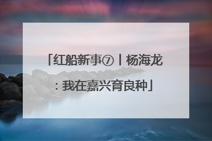 红船新事⑦丨杨海龙：我在嘉兴育良种