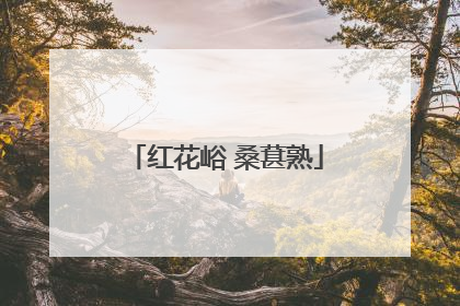 红花峪 桑葚熟