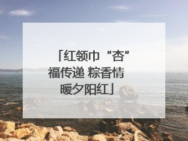 红领巾“杏”福传递 粽香情暖夕阳红