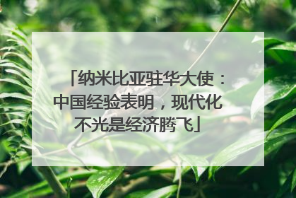 纳米比亚驻华大使：中国经验表明，现代化不光是经济腾飞