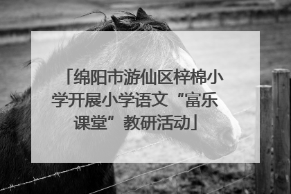 绵阳市游仙区梓棉小学开展小学语文“富乐课堂”教研活动