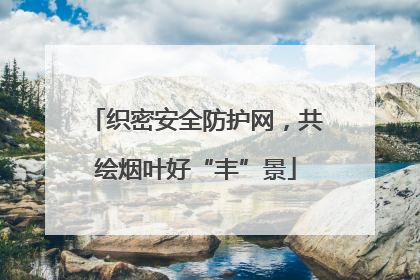 织密安全防护网，共绘烟叶好“丰”景