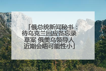 俄总统新闻秘书：待乌克兰回应备忘录草案 俄美乌领导人近期会晤可能性小