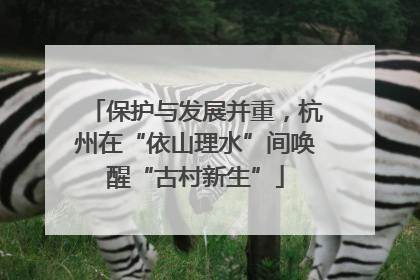 保护与发展并重，杭州在“依山理水”间唤醒“古村新生”