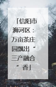 信阳市浉河区：万亩茶庄园飘出“三产融合”香