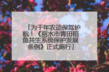 为千年农遗保驾护航！《丽水市青田稻鱼共生系统保护发展条例》正式施行