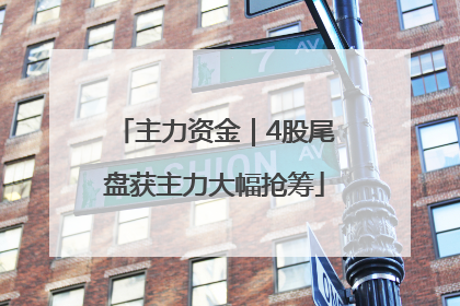 主力资金｜4股尾盘获主力大幅抢筹