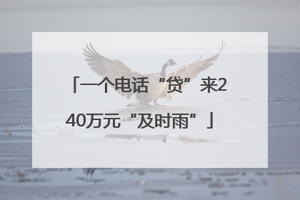 一个电话“贷”来240万元“及时雨”