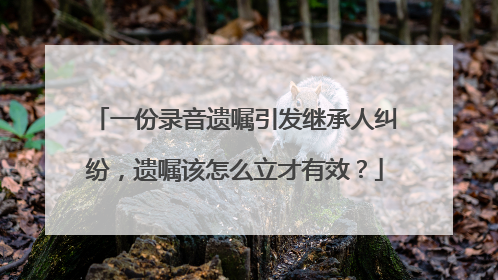 一份录音遗嘱引发继承人纠纷，遗嘱该怎么立才有效？