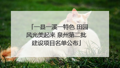 一县一溪一特色 田园风光美起来 泉州第二批建设项目名单公布