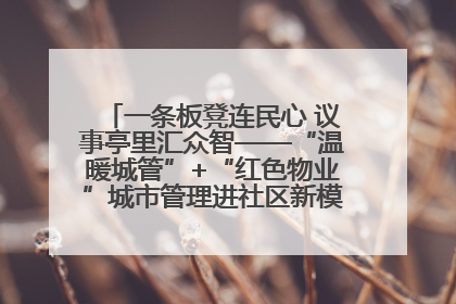 一条板凳连民心 议事亭里汇众智——“温暖城管”+“红色物业”城市管理进社区新模式绘就城市管理社区治理新画卷
