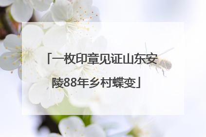 一枚印章见证山东安陵88年乡村蝶变