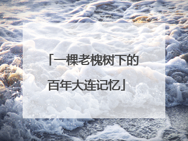 一棵老槐树下的百年大连记忆
