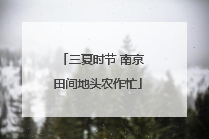 三夏时节 南京田间地头农作忙