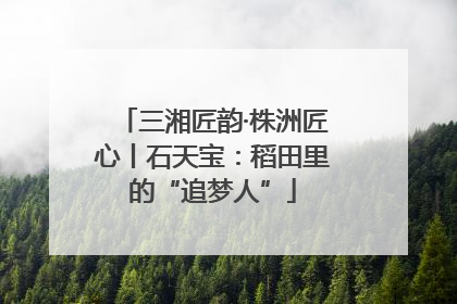 三湘匠韵·株洲匠心丨石天宝：稻田里的“追梦人”