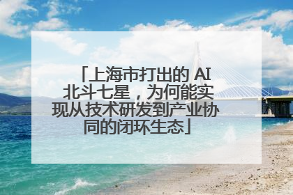 上海市打出的 AI 北斗七星，为何能实现从技术研发到产业协同的闭环生态
