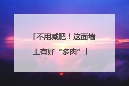 不用减肥！这面墙上有好“多肉”