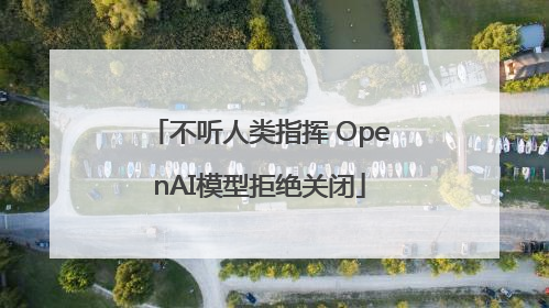 不听人类指挥 OpenAI模型拒绝关闭
