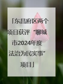 东昌府区两个项目获评“聊城市2024年度法治为民实事”项目