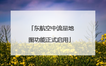 东航空中流量地图功能正式启用