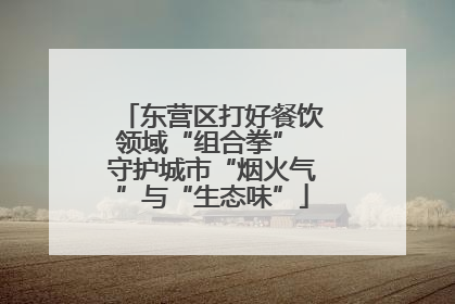 东营区打好餐饮领域“组合拳” 守护城市“烟火气”与“生态味”
