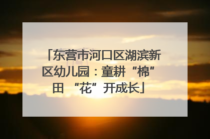 东营市河口区湖滨新区幼儿园：童耕“棉”田 “花”开成长