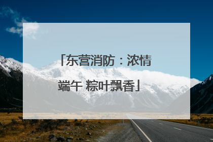 东营消防：浓情端午 粽叶飘香
