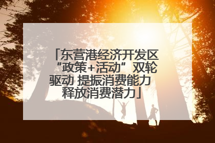 东营港经济开发区“政策+活动”双轮驱动 提振消费能力 释放消费潜力