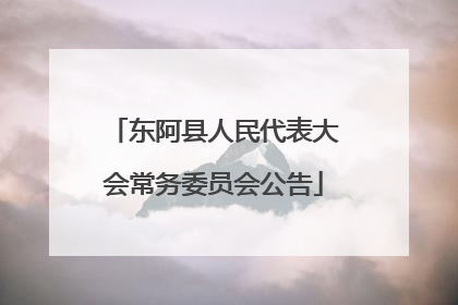 东阿县人民代表大会常务委员会公告