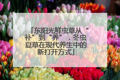 东阳光鲜虫草从“补”到“养”，冬虫夏草在现代养生中的新打开方式
