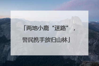 两地小鹿“迷路”，警民携手放归山林