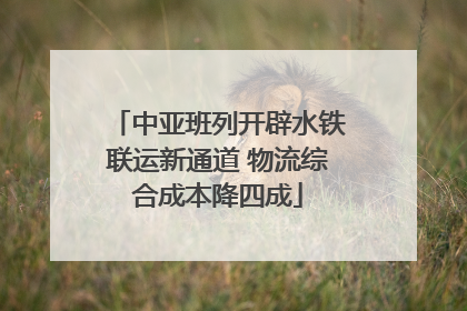中亚班列开辟水铁联运新通道 物流综合成本降四成
