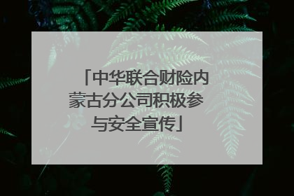 中华联合财险内蒙古分公司积极参与安全宣传