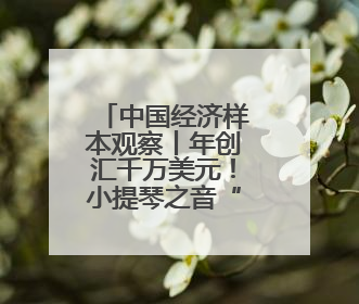 中国经济样本观察丨年创汇千万美元！小提琴之音“响”彻世界