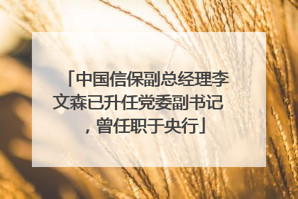 中国信保副总经理李文森已升任党委副书记，曾任职于央行
