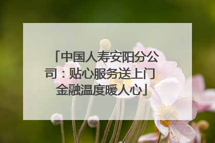 中国人寿安阳分公司：贴心服务送上门 金融温度暖人心