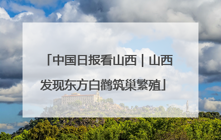 中国日报看山西｜山西发现东方白鹳筑巢繁殖