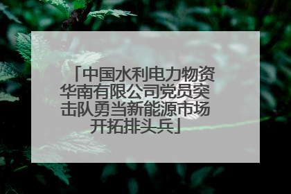 中国水利电力物资华南有限公司党员突击队勇当新能源市场开拓排头兵
