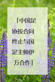 中国足协按合同终止与国足主帅伊万合作