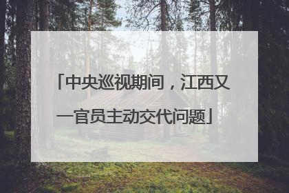 中央巡视期间，江西又一官员主动交代问题