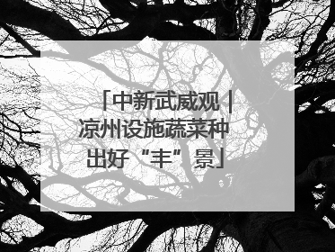中新武威观｜凉州设施蔬菜种出好“丰”景