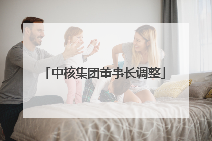 中核集团董事长调整